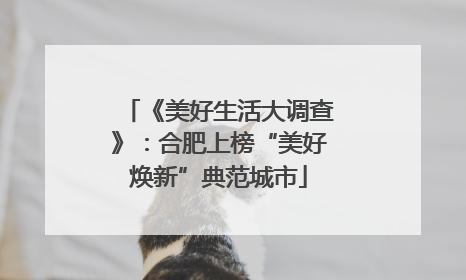 《美好生活大调查》：合肥上榜“美好焕新”典范城市