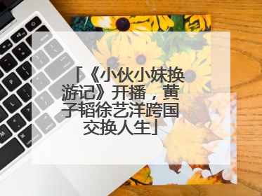 《小伙小妹换游记》开播，黄子韬徐艺洋跨国交换人生