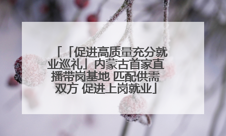「促进高质量充分就业巡礼」内蒙古首家直播带岗基地 匹配供需双方 促进上岗就业