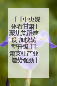 「中央媒体看甘肃」聚焦集群建设 加快转型升级 甘肃支柱产业增势强劲