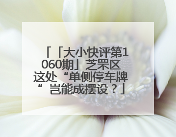 「大小快评第1060期」芝罘区这处“单侧停车牌”岂能成摆设？
