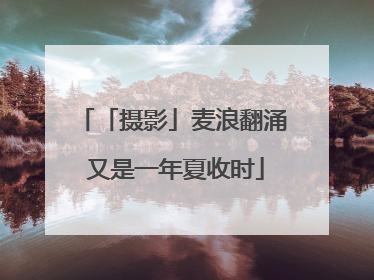 「摄影」麦浪翻涌 又是一年夏收时