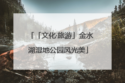 「文化·旅游」金水湖湿地公园风光美
