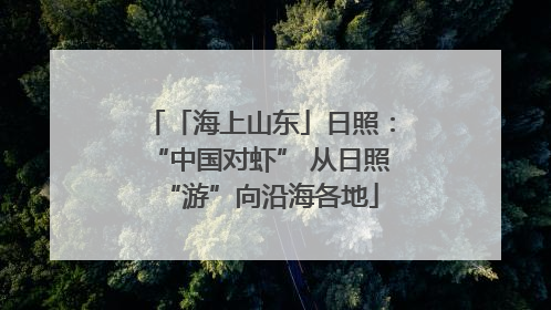 「海上山东」日照：“中国对虾” 从日照“游”向沿海各地
