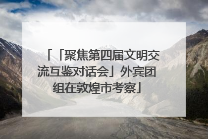 「聚焦第四届文明交流互鉴对话会」外宾团组在敦煌市考察