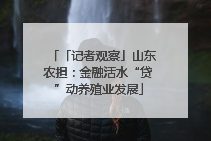 「记者观察」山东农担：金融活水“贷”动养殖业发展