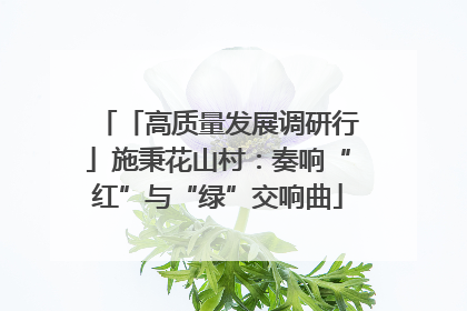 「高质量发展调研行」施秉花山村：奏响“红”与“绿”交响曲