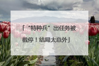 “特种兵”出任务被截停！结局太意外
