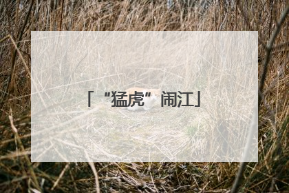 “猛虎”闹江