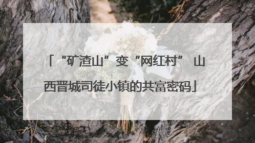 “矿渣山”变“网红村” 山西晋城司徒小镇的共富密码