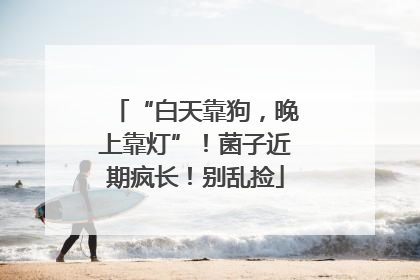 “白天靠狗，晚上靠灯”！菌子近期疯长！别乱捡