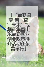 “福彩圆梦 创‘益’未来”视频征集暨山东福彩就业创业政策推介活动在东营举行
