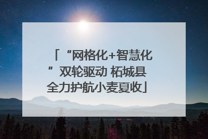 “网格化+智慧化”双轮驱动 柘城县全力护航小麦夏收