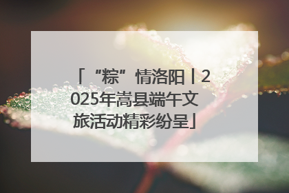 “粽”情洛阳丨2025年嵩县端午文旅活动精彩纷呈