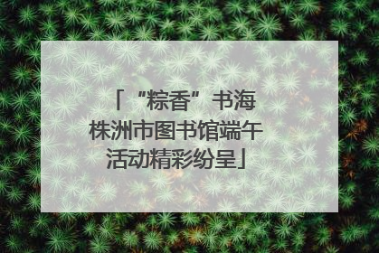 “粽香”书海 株洲市图书馆端午活动精彩纷呈