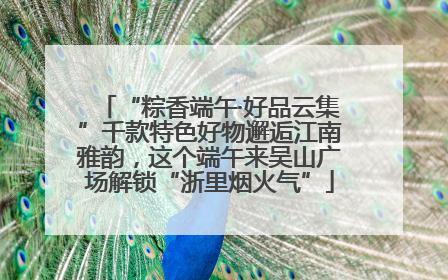 “粽香端午·好品云集”千款特色好物邂逅江南雅韵，这个端午来吴山广场解锁“浙里烟火气”