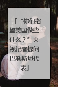 “你们指望美国做些什么？”央视记者提问巴勒斯坦代表