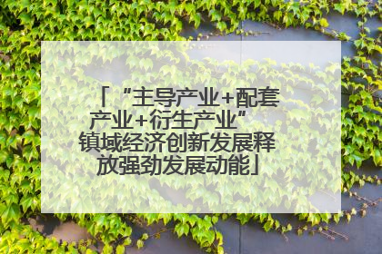 “主导产业+配套产业+衍生产业” 镇域经济创新发展释放强劲发展动能