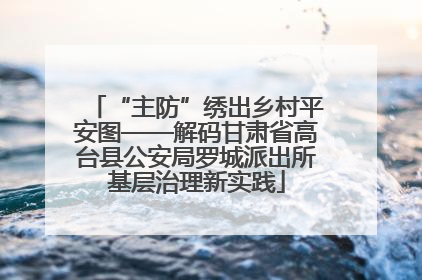 “主防”绣出乡村平安图——解码甘肃省高台县公安局罗城派出所基层治理新实践