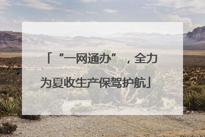 “一网通办”，全力为夏收生产保驾护航