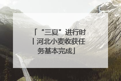 “三夏”进行时丨河北小麦收获任务基本完成