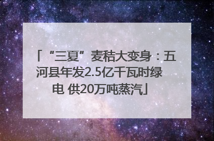 “三夏”麦秸大变身：五河县年发2.5亿千瓦时绿电 供20万吨蒸汽