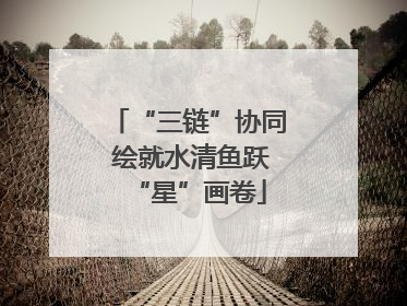 “三链”协同 绘就水清鱼跃“星”画卷