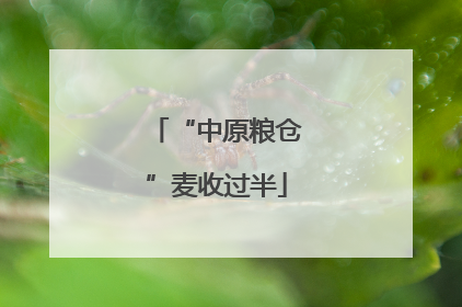 “中原粮仓”麦收过半