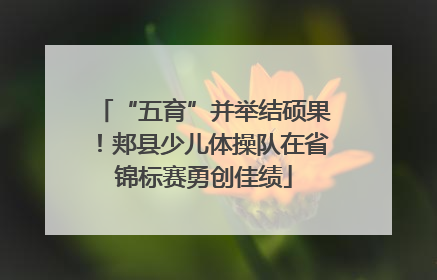 “五育”并举结硕果！郏县少儿体操队在省锦标赛勇创佳绩