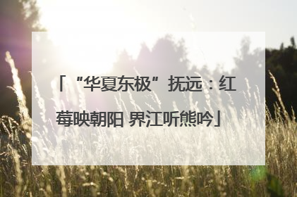 “华夏东极”抚远：红莓映朝阳 界江听熊吟