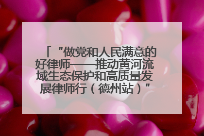 “做党和人民满意的好律师——推动黄河流域生态保护和高质量发展律师行（德州站）”活动成功举办