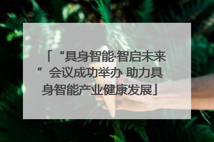 “具身智能·智启未来”会议成功举办 助力具身智能产业健康发展