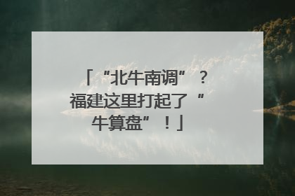“北牛南调”？福建这里打起了“牛算盘”！