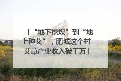 “地下挖煤”到“地上种艾”，肥城这个村艾草产业收入破千万