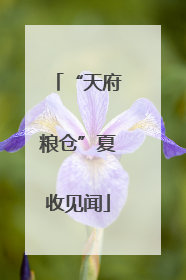 “天府粮仓”夏收见闻