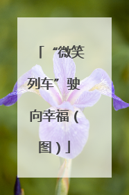 “微笑列车”驶向幸福（图）