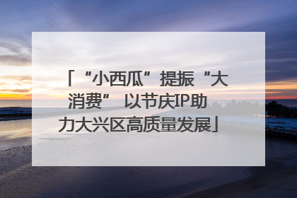 “小西瓜”提振“大消费” 以节庆IP助力大兴区高质量发展