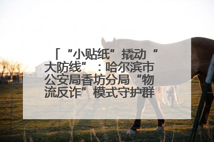 “小贴纸”撬动“大防线”：哈尔滨市公安局香坊分局“物流反诈”模式守护群众“钱袋子”