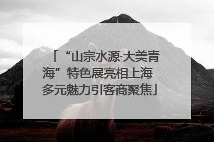 “山宗水源·大美青海”特色展亮相上海 多元魅力引客商聚焦