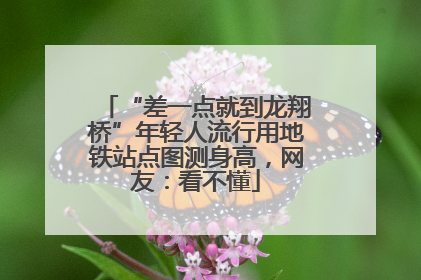“差一点就到龙翔桥”年轻人流行用地铁站点图测身高，网友：看不懂