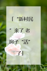 “新村民”来了 老房子“活”了