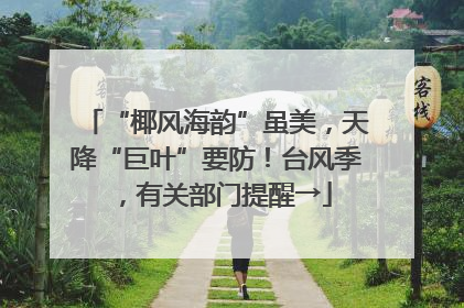 “椰风海韵”虽美，天降“巨叶”要防！台风季，有关部门提醒→