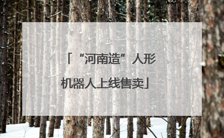 “河南造”人形机器人上线售卖
