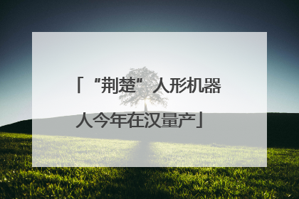 “荆楚”人形机器人今年在汉量产