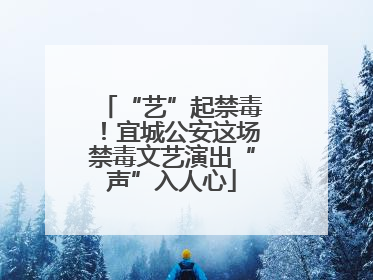 “艺”起禁毒！宜城公安这场禁毒文艺演出“声”入人心