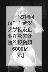 “资智回汉”！武汉大学校友企业在鄂累计签约投资超6000亿元
