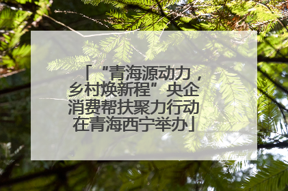 “青海源动力，乡村焕新程”央企消费帮扶聚力行动在青海西宁举办