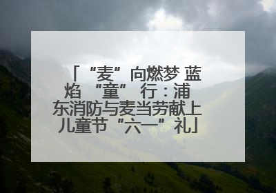 “麦”向燃梦 蓝焰 “童” 行：浦东消防与麦当劳献上儿童节“六一”礼