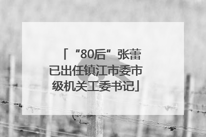 “80后”张蕾已出任镇江市委市级机关工委书记