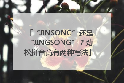 “JINSONG”还是“JINGSONG”？劲松拼音竟有两种写法